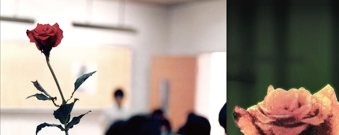 Vinaora Nivo Slider 3.x